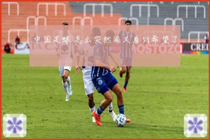 中国足球 怎么突然间又看到希望了
