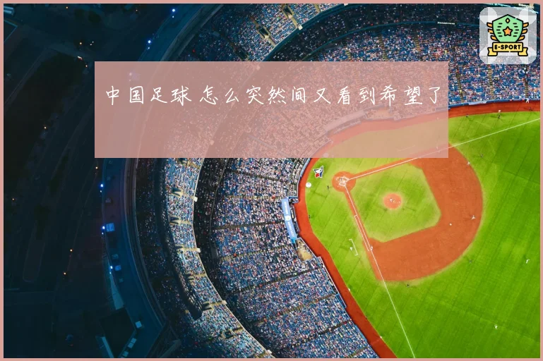 中国足球 怎么突然间又看到希望了