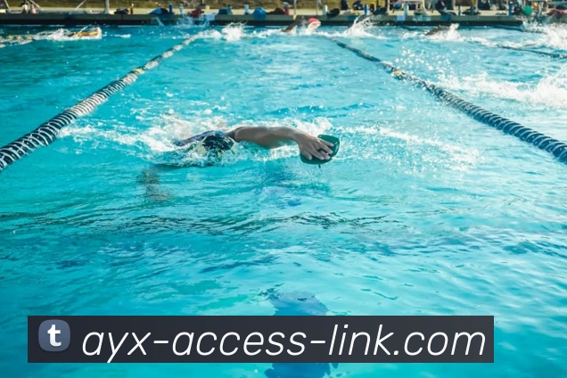 爱游戏平台生态图